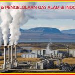 Kekayaan Alam Indonesia Akan Meningkat Dalam Jangka Waktu Dekat, Berikut Penjelasannya