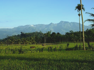 Gunung Argopuro, Mahkota Jawa Timur dengan Puncak Hyang dan Jejak Legenda Dewi Rengganis
